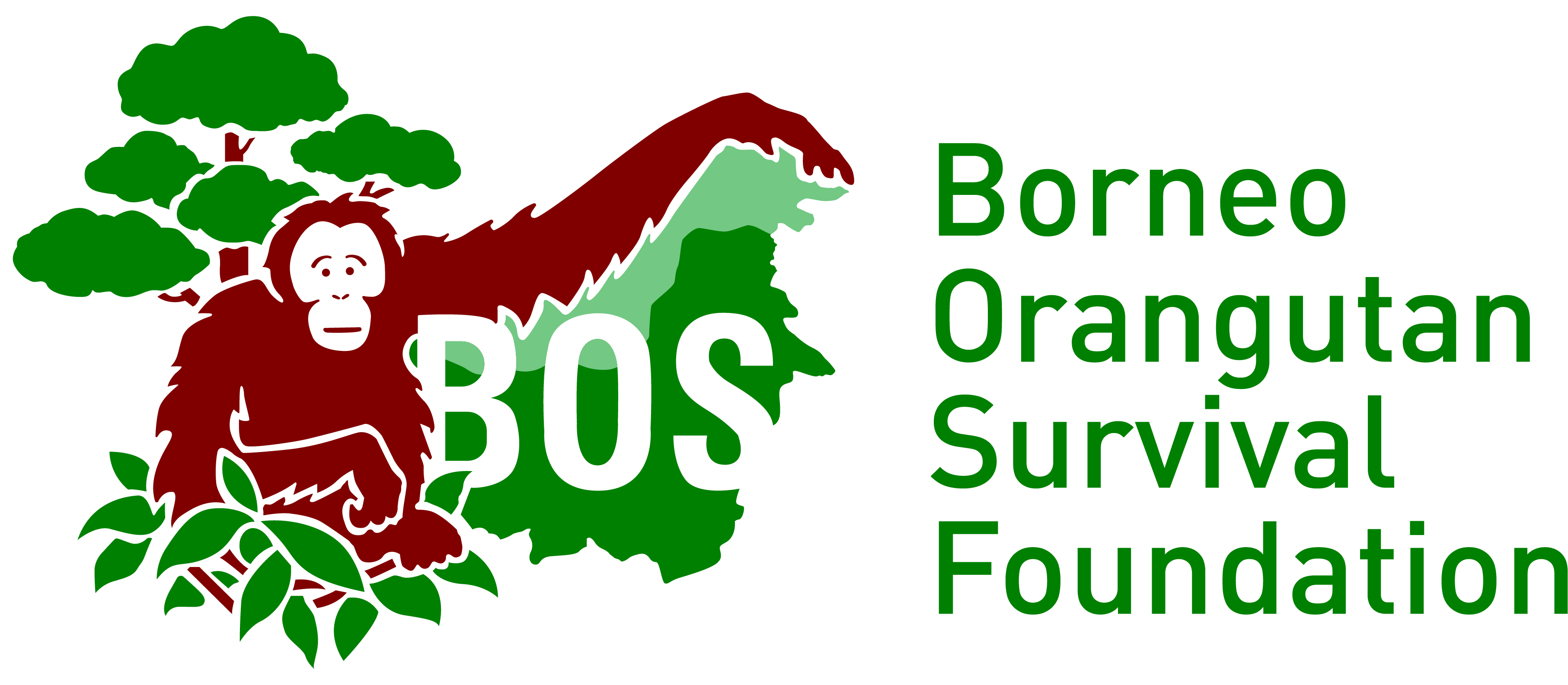 The Borneo Orangutan Survival (BOS) Foundation
