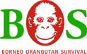 Borneo Orangutan Survival Deutschland